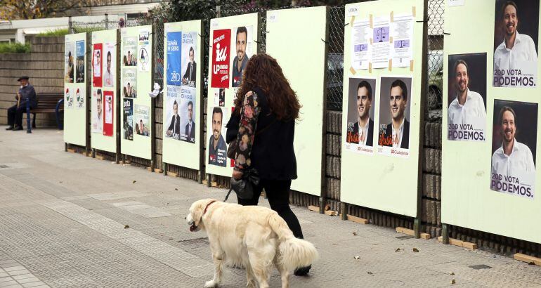 Carteles de la campaña electoral del pasado mes de diciembre