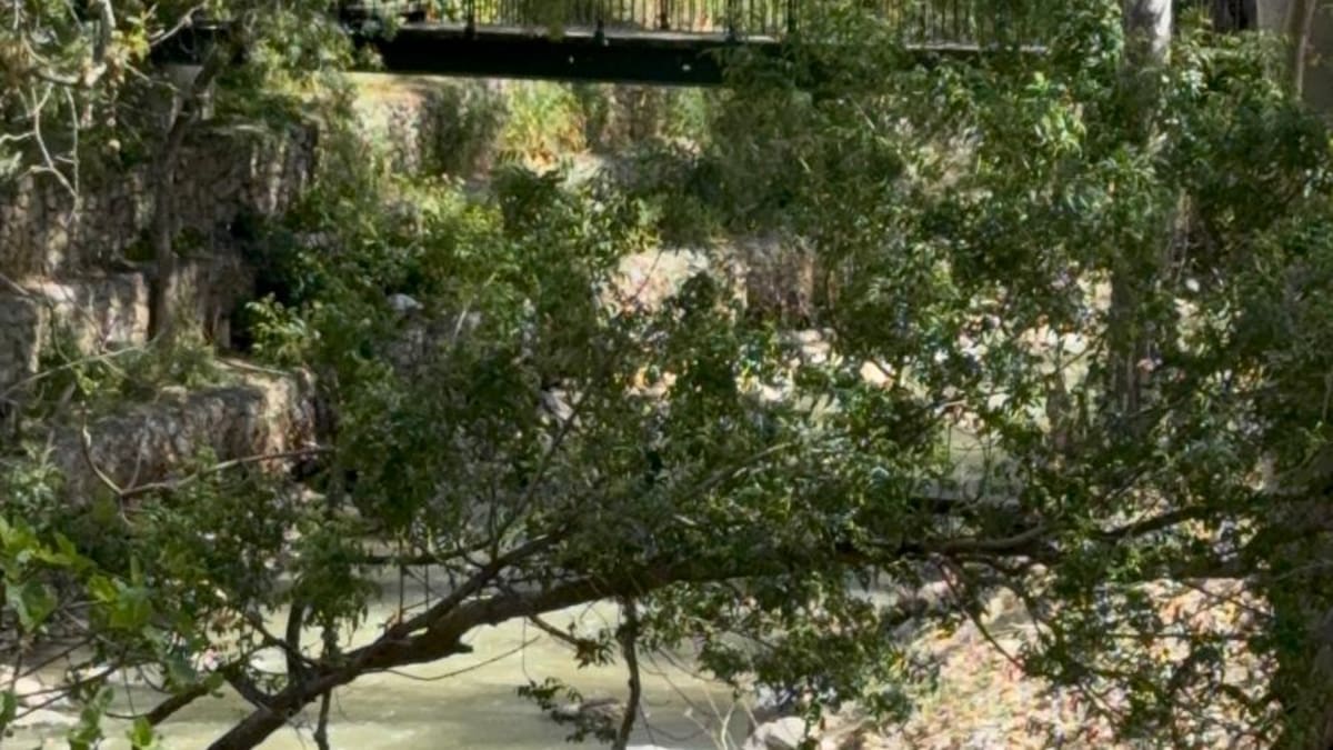 De río oculto a columna verde: así avanzan las obras del Huerva en Zaragoza