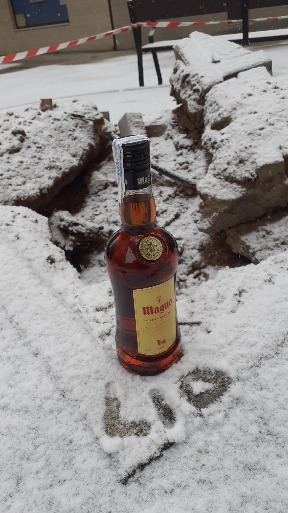 La asociación alude con humor a su solicitud de plantar un magnolio en la plazoleta de la calle Zazuar