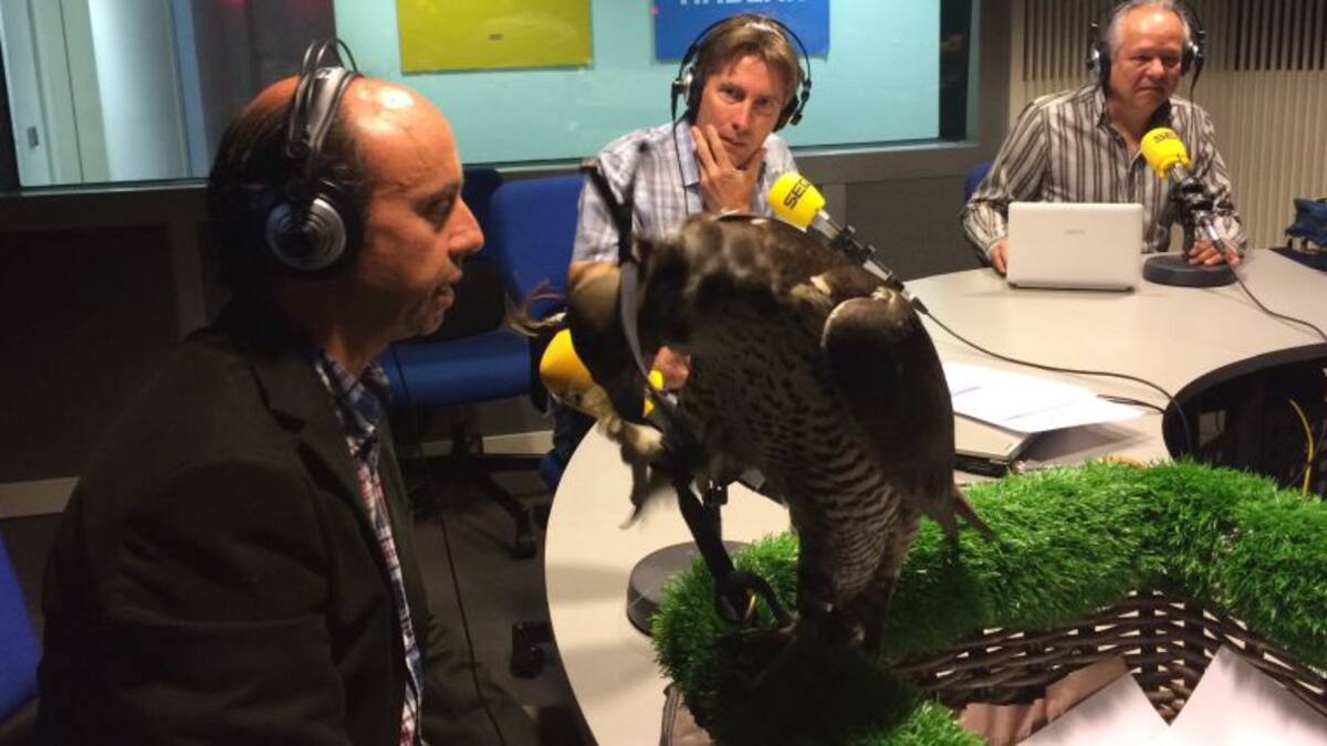 El caballero del aire