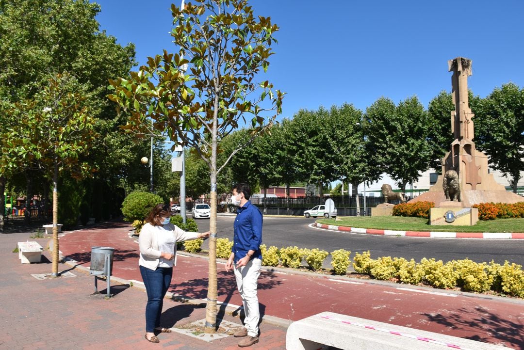 Un árbol por Europa