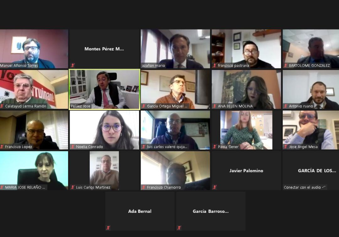 Última reunión telemática de la directiva de la CEJ.