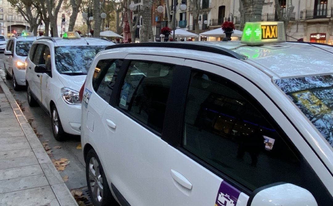 Taxis esperando posibles clientes en el Passeig des Born, en el centro de Palma. 