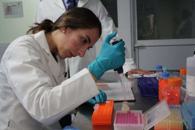 Una investigadora realiza pruebas de laboratorio en un Centro de Investigación para regenerar in vitro células extraídas de la orina de pacientes con diabetes y Parkinson, a fin de crear nuevos métodos de diagnóstico y mejorar los tratamientos farmacéuticos contra estas dolencias. 