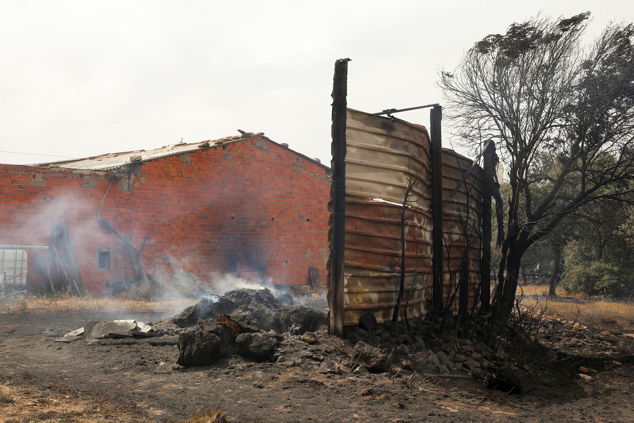 CABAÑAS  DE ALISTE (ZAMORA), 17/06/2022.- El incendio forestal declarado el miércoles por la noche por los rayos de una tormenta seca en la reserva de la Sierra de la Culebra, en la provincia de Zamora, ha vivido este viernes sus horas más críticas al ser necesario desalojar a 650 vecinos de ocho pueblos por la amenaza de las llamas, que ya han calcinado unas 9.000 hectáreas de terrenos. EFE/Mariam A. Montesinos
