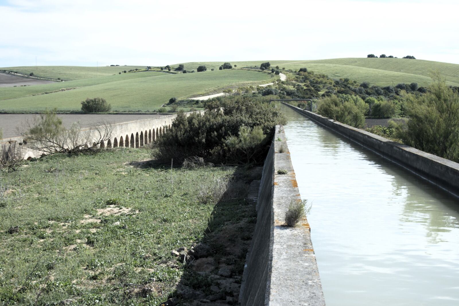 Un "paseíto" por la Vega de Zarandilla y Las Pachecas