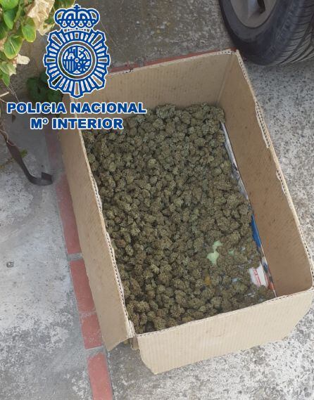 Droga incautada por la Policía en Sanlúcar