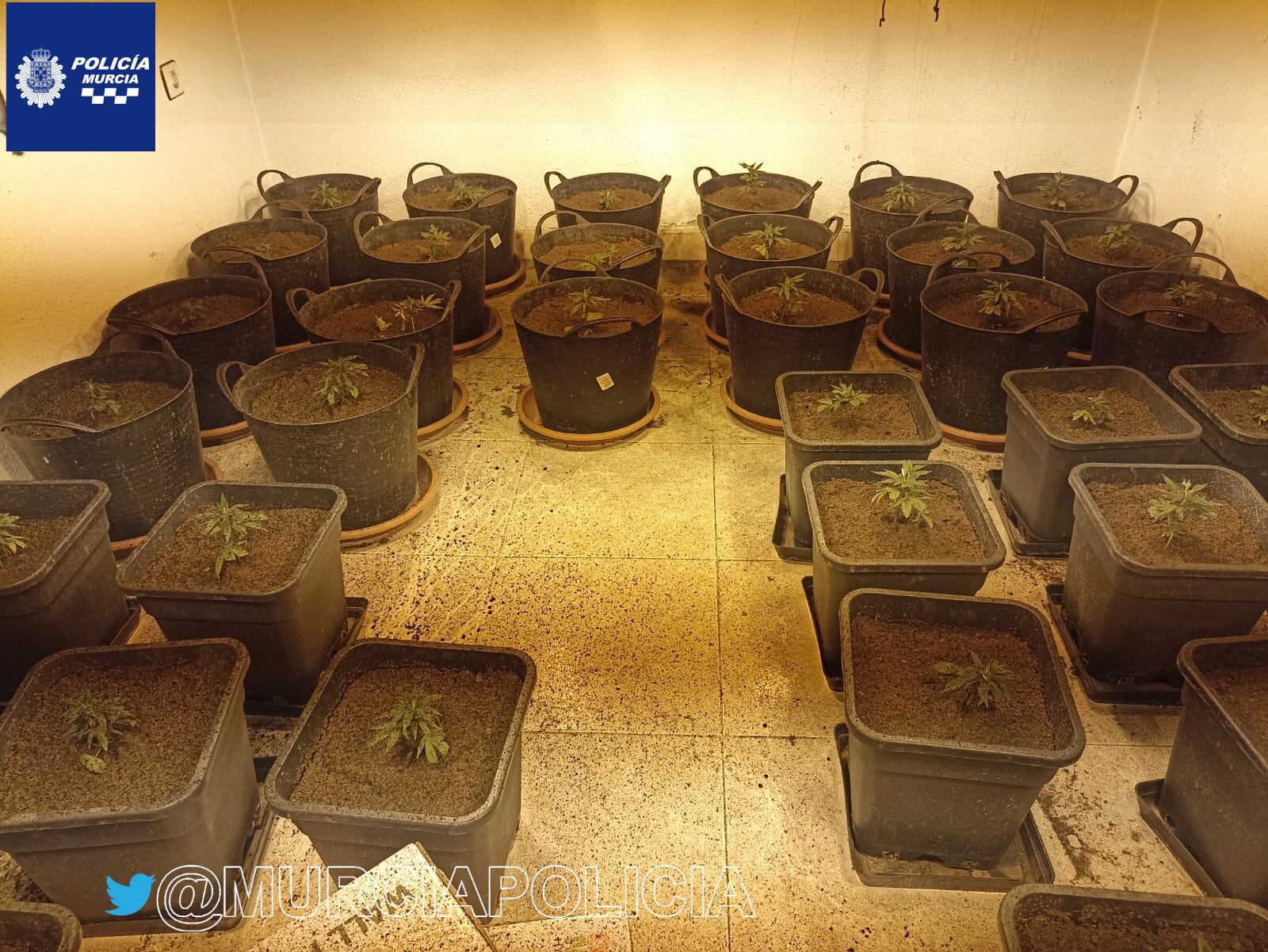 Los agentes entraron al inmueble, una vez sofocadas las llamas y ventilado su interior descubrieron que había 160 plantas de marihuana y 90 esquejes de esta especie. @MurciaPolicia