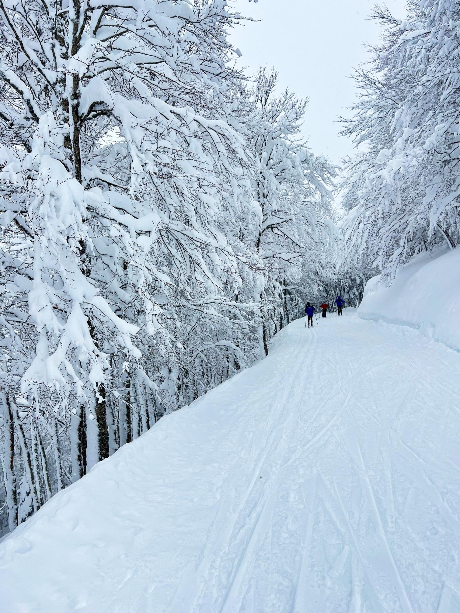 El Gobierno de Aragón, ante el "altísimo" riesgo de aludes, pide prudencia y evitar actividades en la montaña