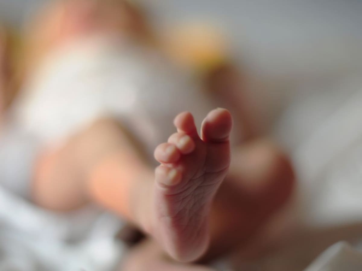 Una churrería por la despoblación y la primera niña en 30 años