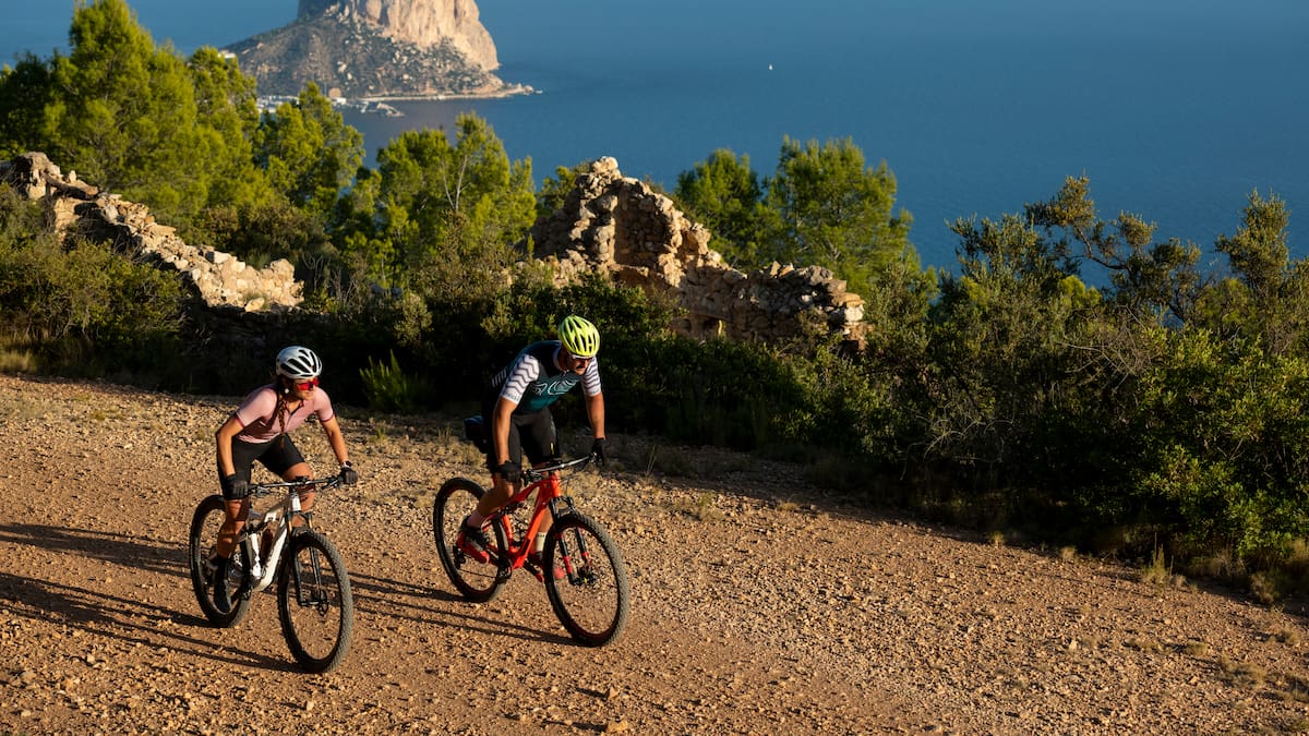 El refugio de los gigantes: el bosque "secreto" de secuoyas a un paso de Vigo