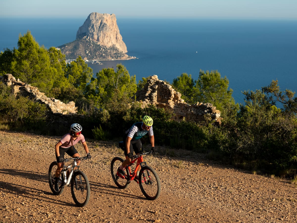El refugio de los gigantes: el bosque "secreto" de secuoyas a un paso de Vigo