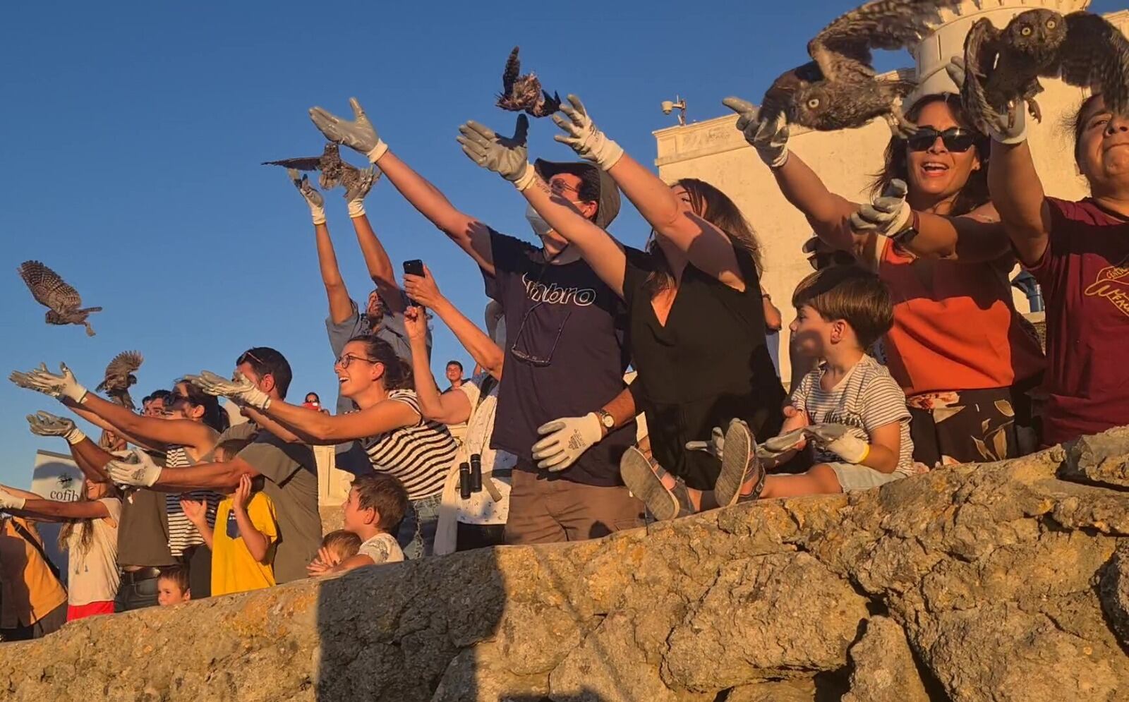 Moment en el que els voluntaris del Centre de Recuperació de la Fauna Silvestre alliberen a quinze pollets de mussol.