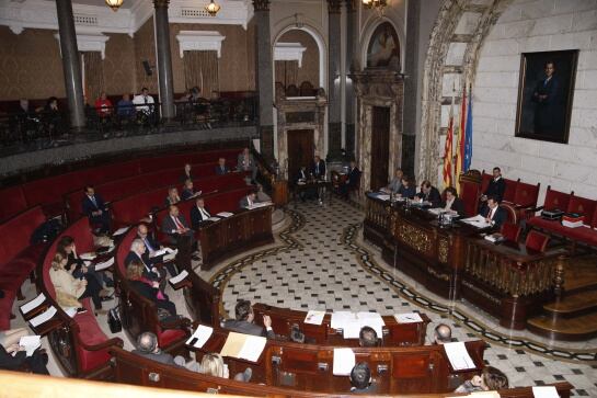 Pleno Ayuntamiento enero 2015