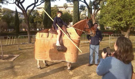 Un joven chaval monta en el caballo de picar