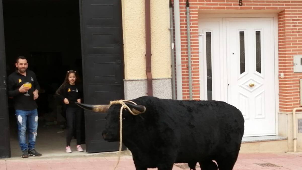 Una Veguilla insólita