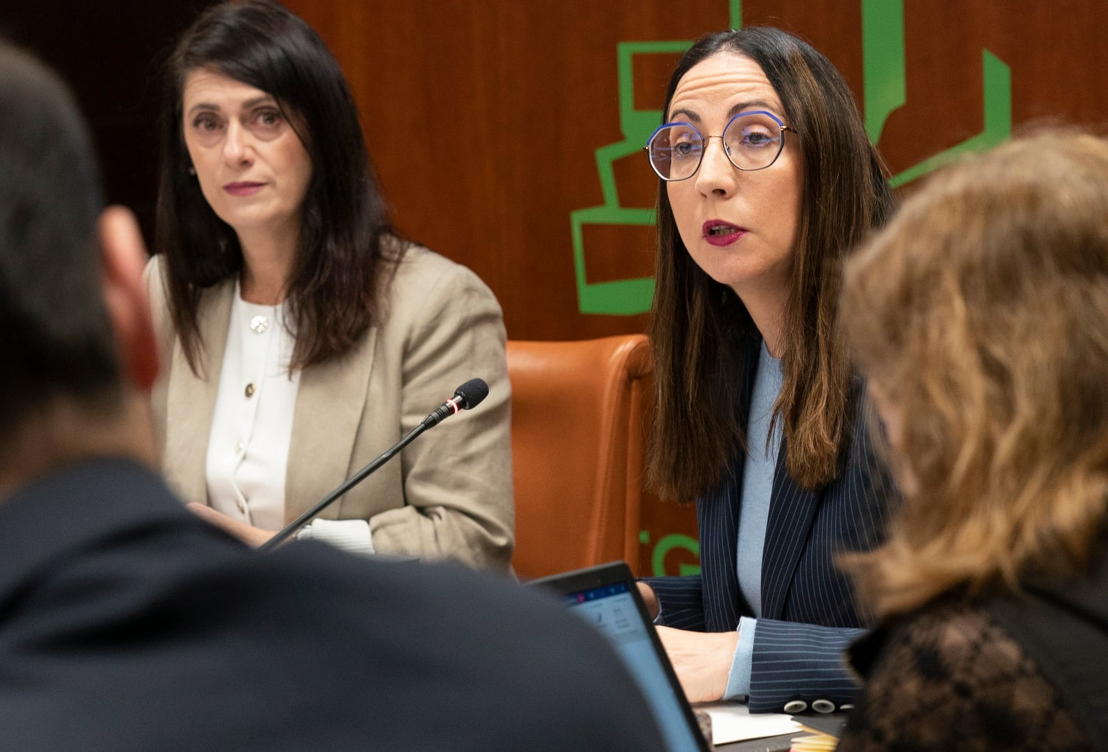 Begoña Pedrosa durante su comparecencia en el Parlamento vasco