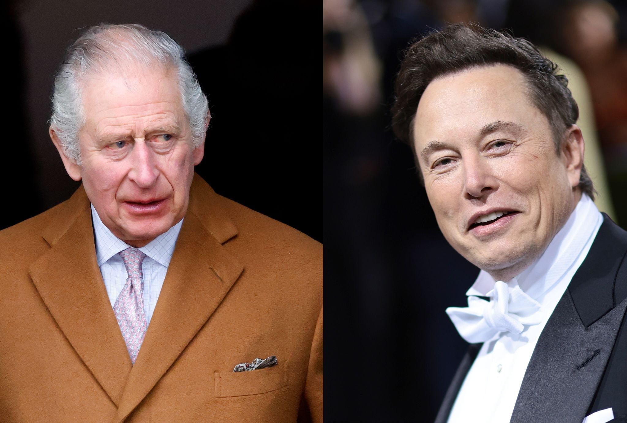 A la izquierda, el rey Carlos III de Inglaterra, y a la derecha, el magnate Elon Musk