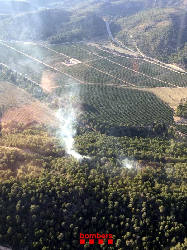 Imatges de l&#039;incendi a Móra d&#039;Ebre / ACN