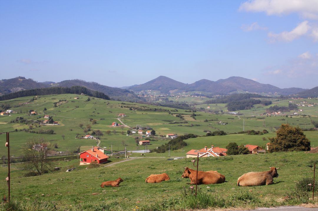 A pesar de su marcado carácter urbano, este concejo posee un destacable paisaje rural