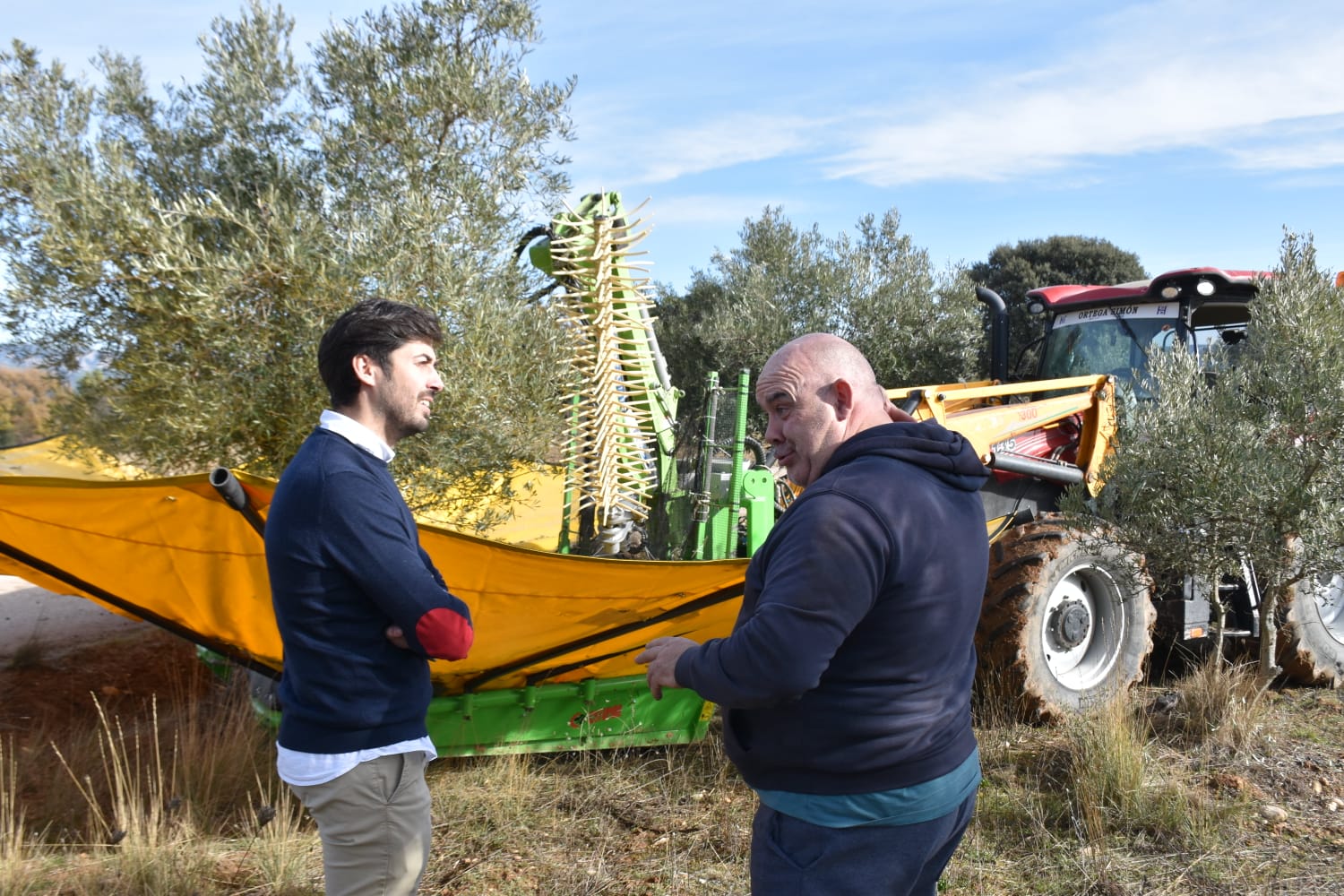 El diputado de Agricultura, Javier Cebrián, en una visita a los olivares de la cooperativa Alta Alcarria.