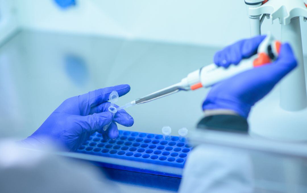 La nueva normalidad podría llegar en verano de 2021.