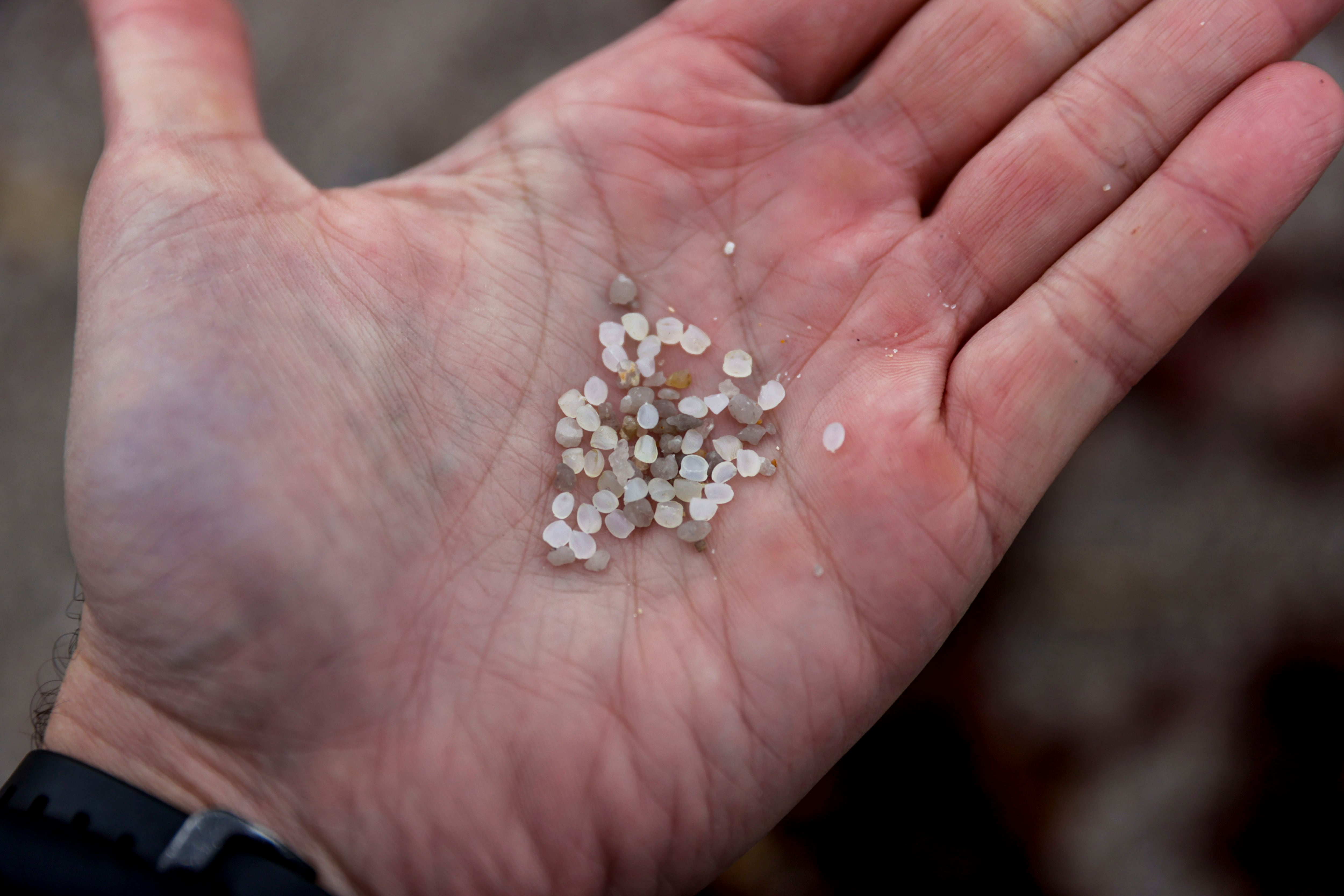 Pellets de plástico recogidos en la costa atlántica.