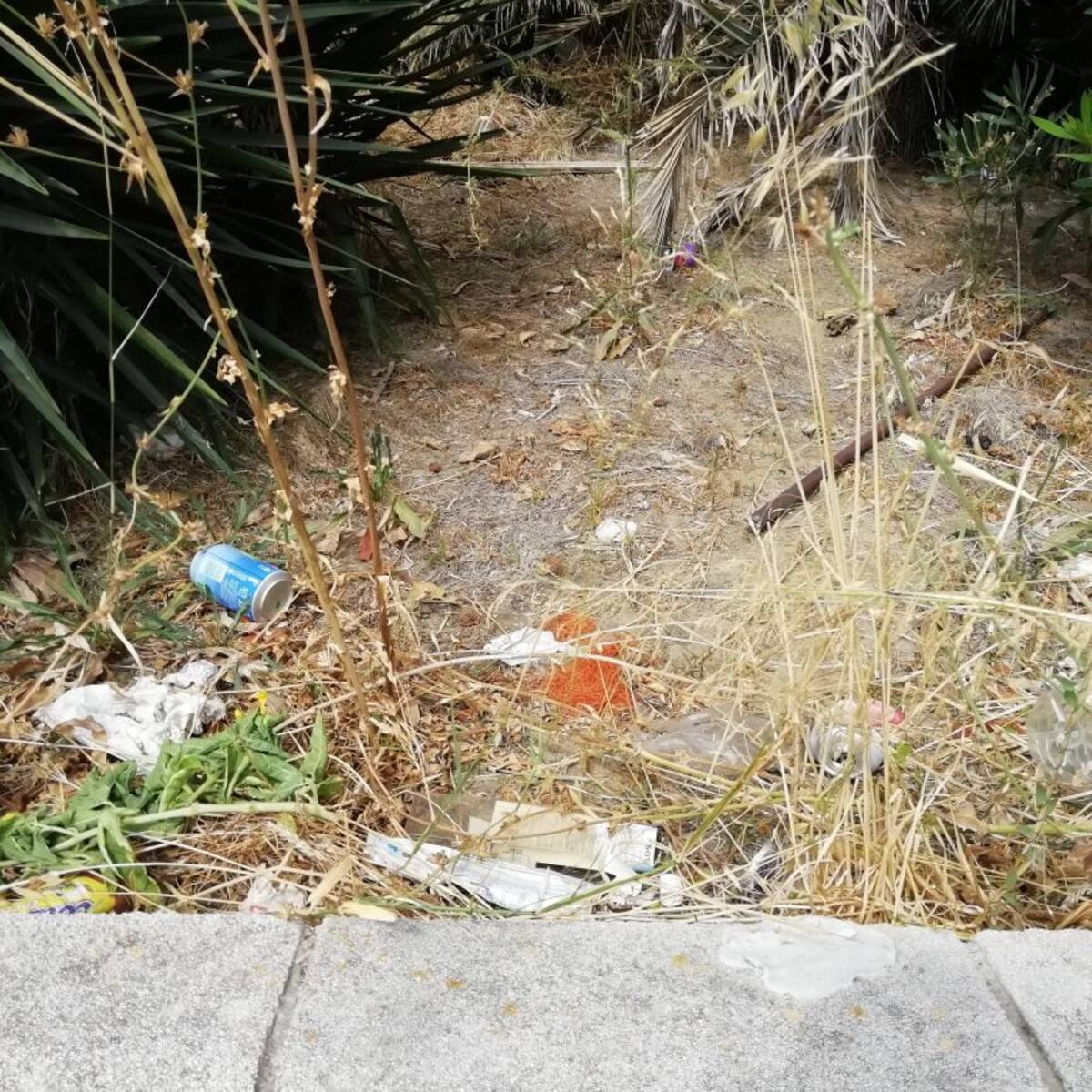 Adelante denuncia el mal estado en el que se encuentra la barriada de Los Naranjos