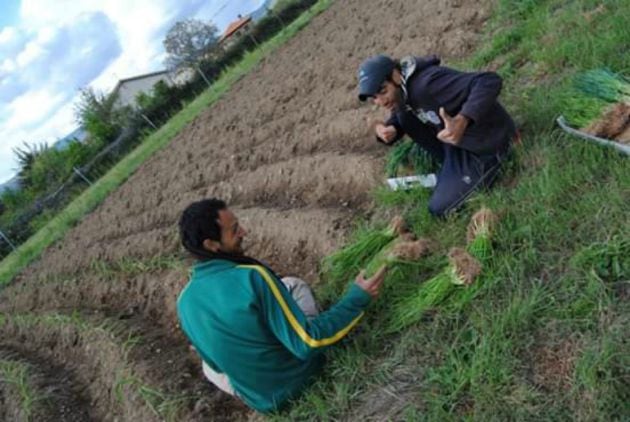 Javier, a la izquierda, a punto de plantar unas cebollas con un amigo