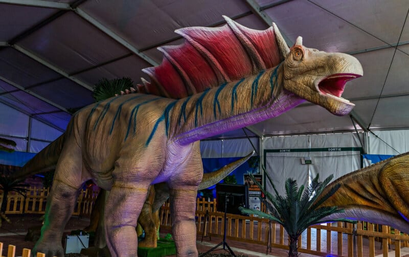 Dinosaurio de la exposición