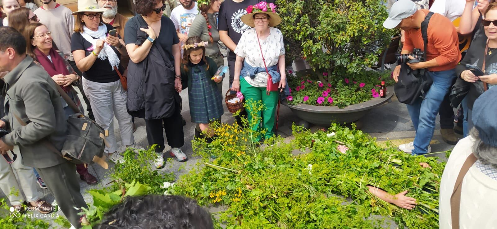 Los 'maios' esperando despertar