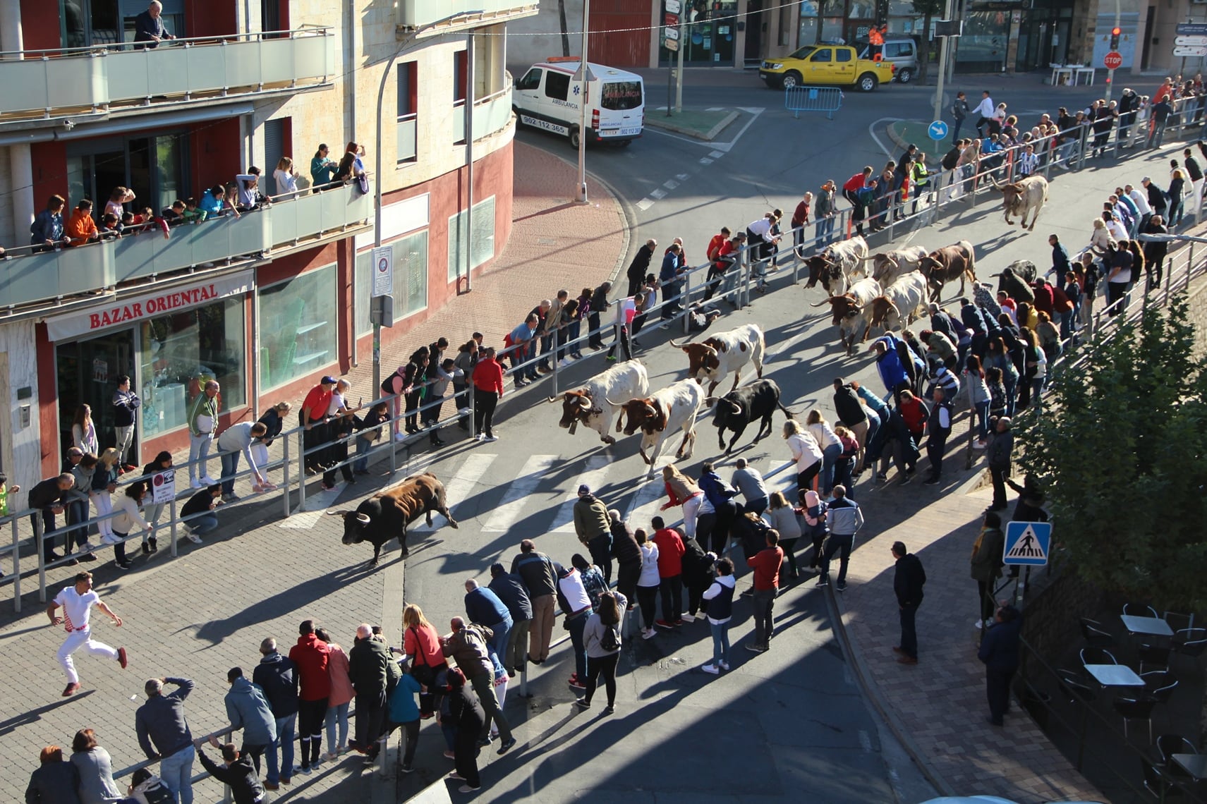 Toros de Condessa de Sobral por la calle Resina de Cuéllar en el encierro extraordinario de San Miguel