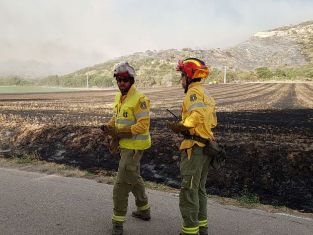 Agentes Medioambientales investigan un incendio en Almoguera