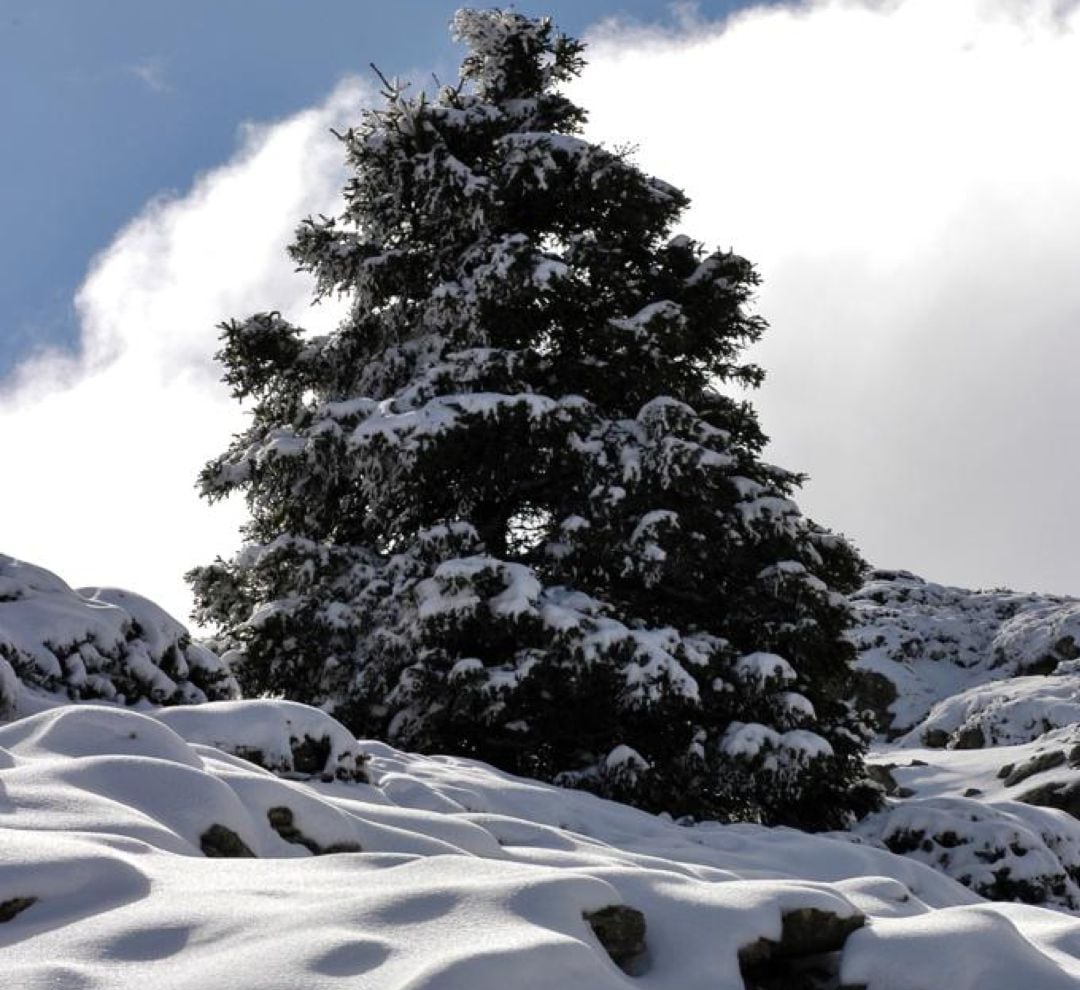 Sierra de las Nieves 