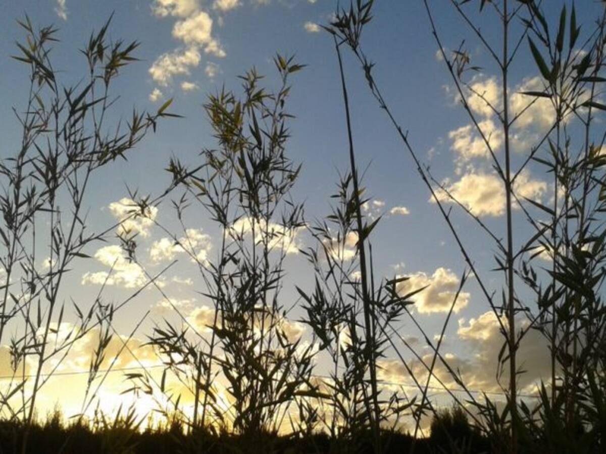 Pedro: "El presidente de mi comunidad nos vigila por las cámaras de seguridad"