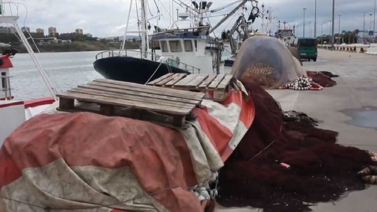 Barcos de Pesca en el Puerto de Algeciras