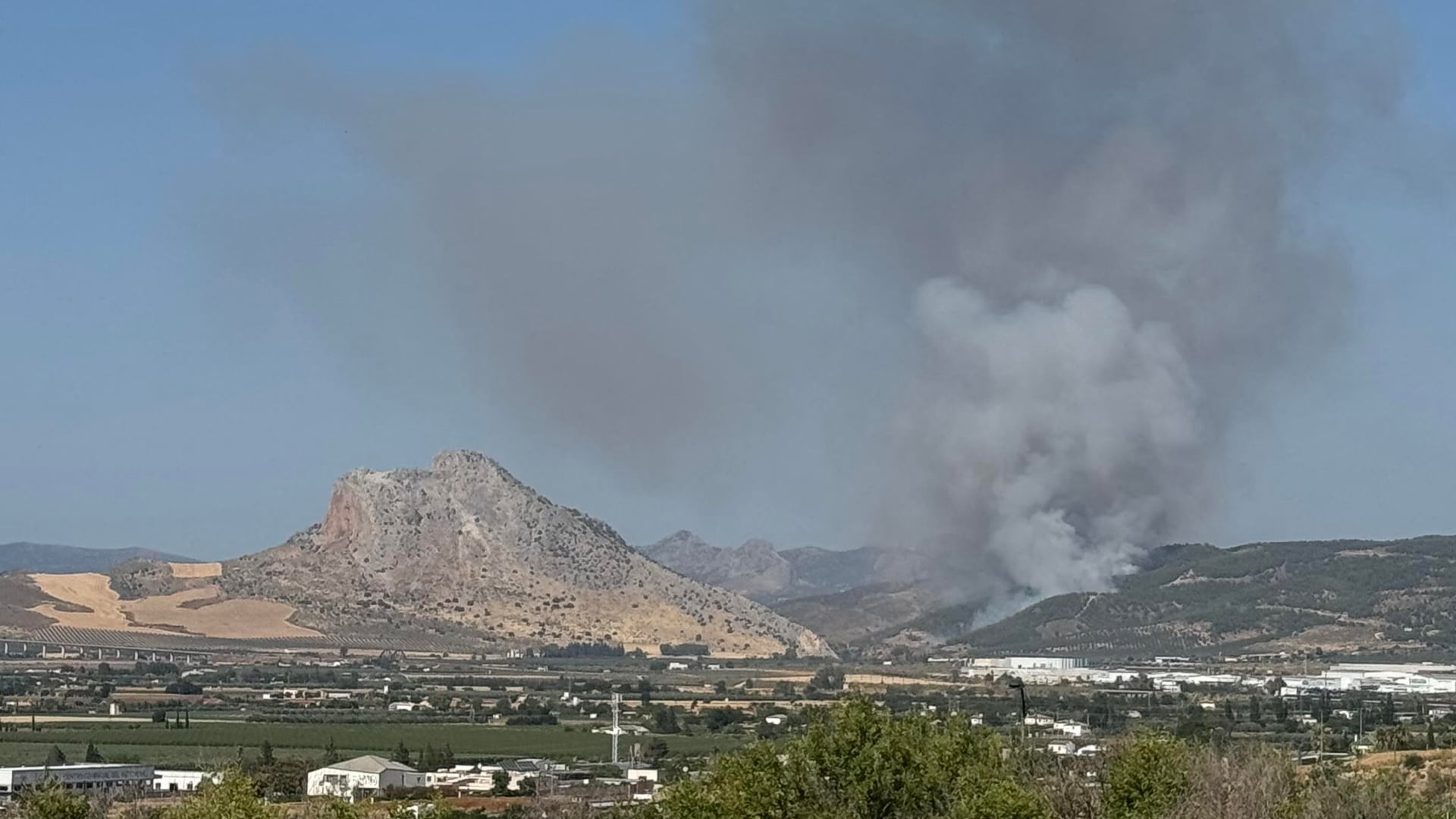 Incendio forestal en Antequera