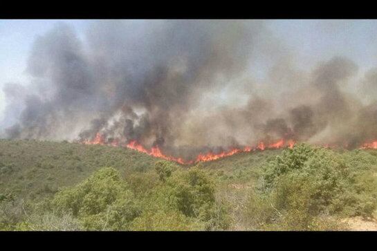 Incendios en la localidad de Cogolludo (Guadalajara)