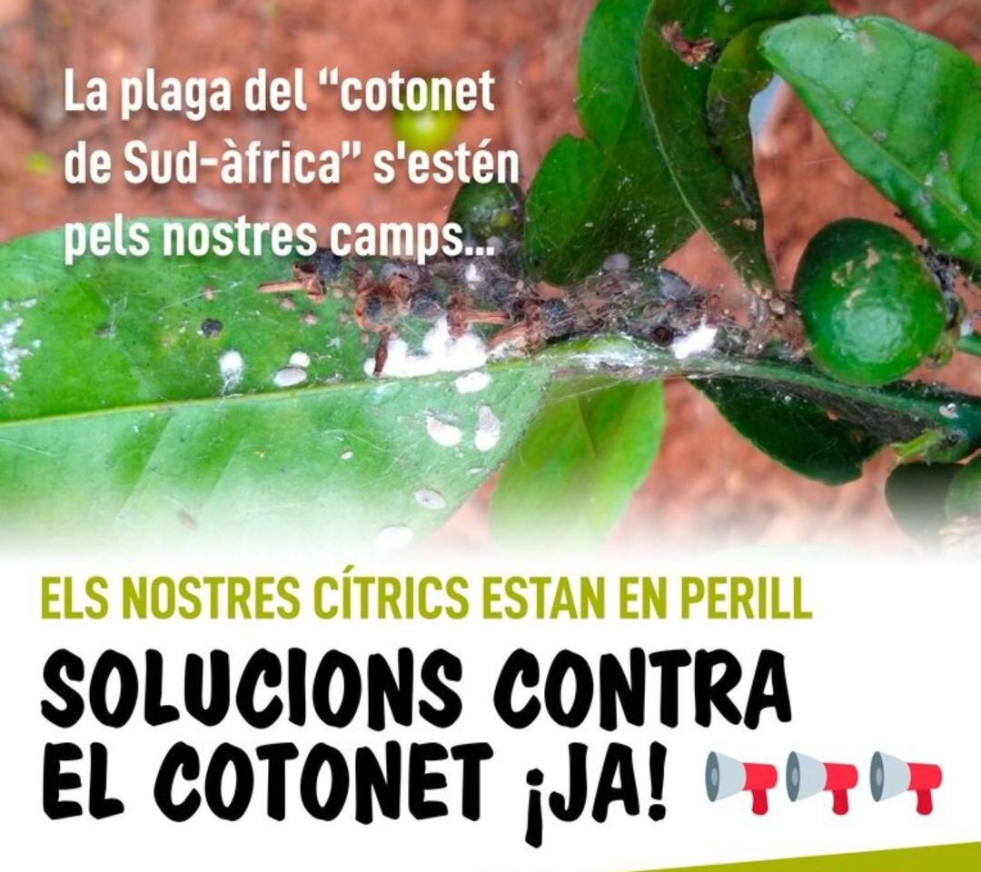 Cartel concentración