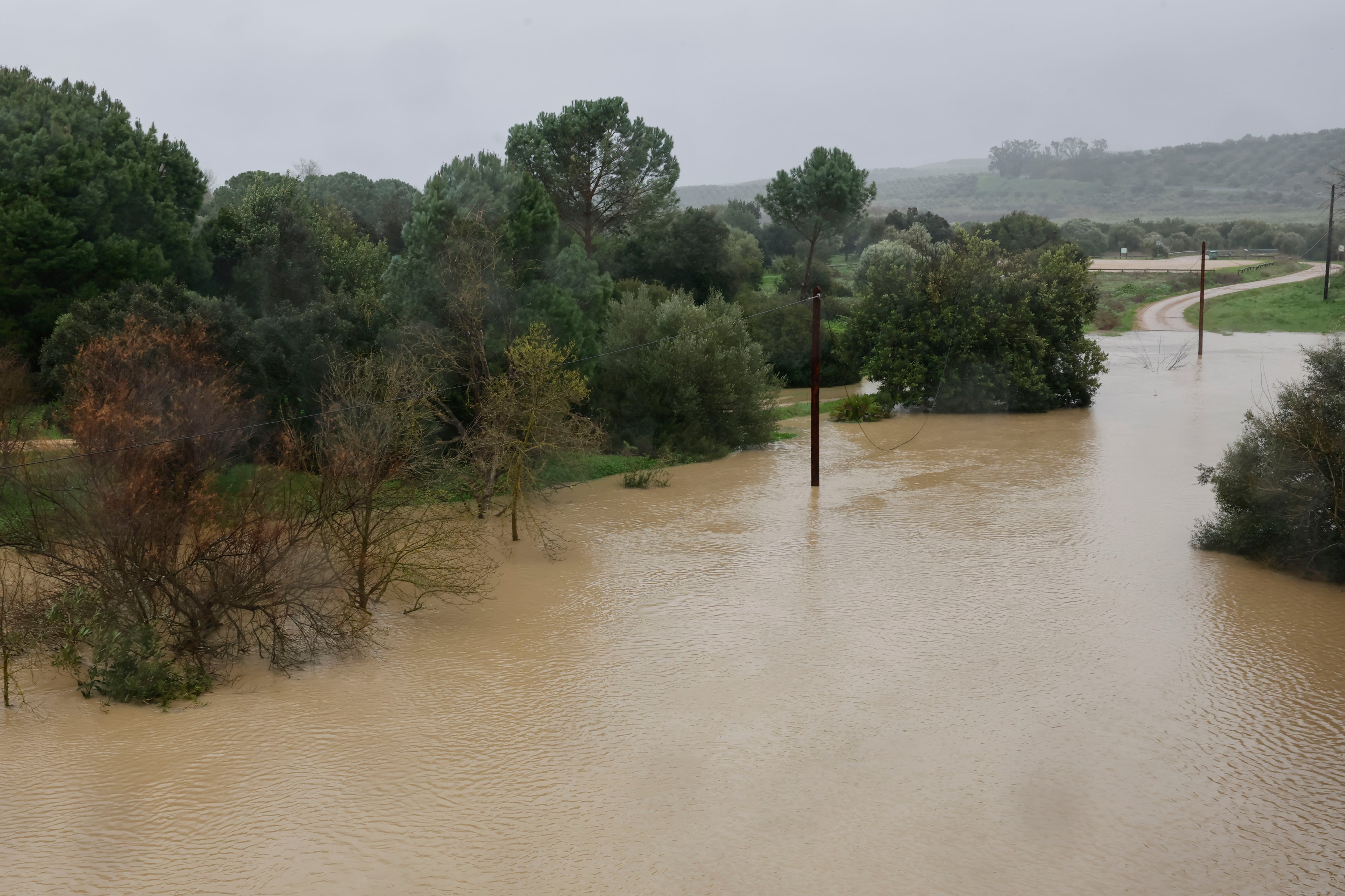 Xavier Vidal-Folch, sobre la borrasca Leonardo: "Reaccionar a tiempo es salvar vidas"