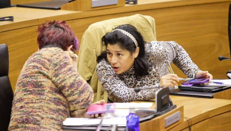 Fanny Carrillo y Tere Sáez, Podemos