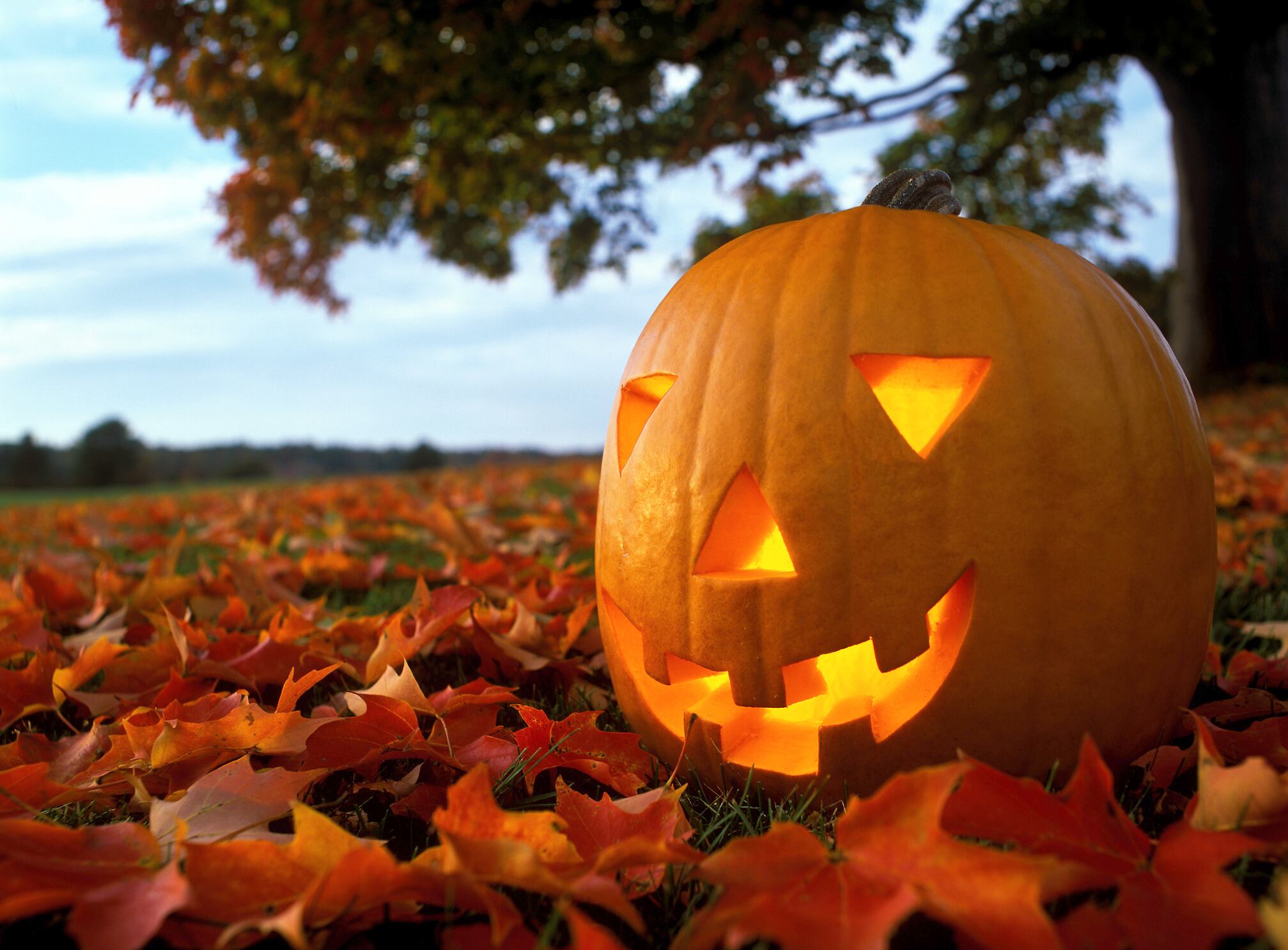 Una de las típicas calabazas decorativas de Halloween, una tradición anglosajona cada vez más asentada en nuestro país.