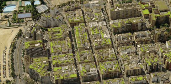 Red Sevilla por el Clima