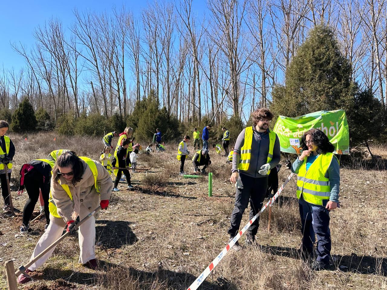Una cubierta, un árbol