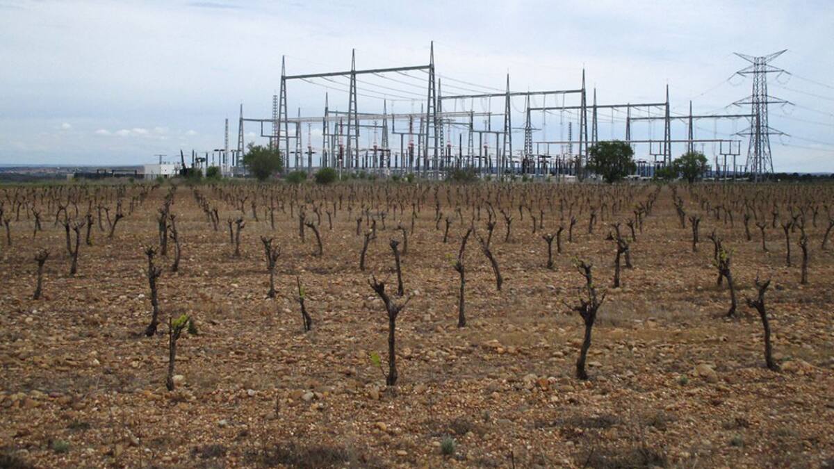 Ecologistas en Acción denuncia la amenaza para la Vega de Toro de los proyectos de plantas solares