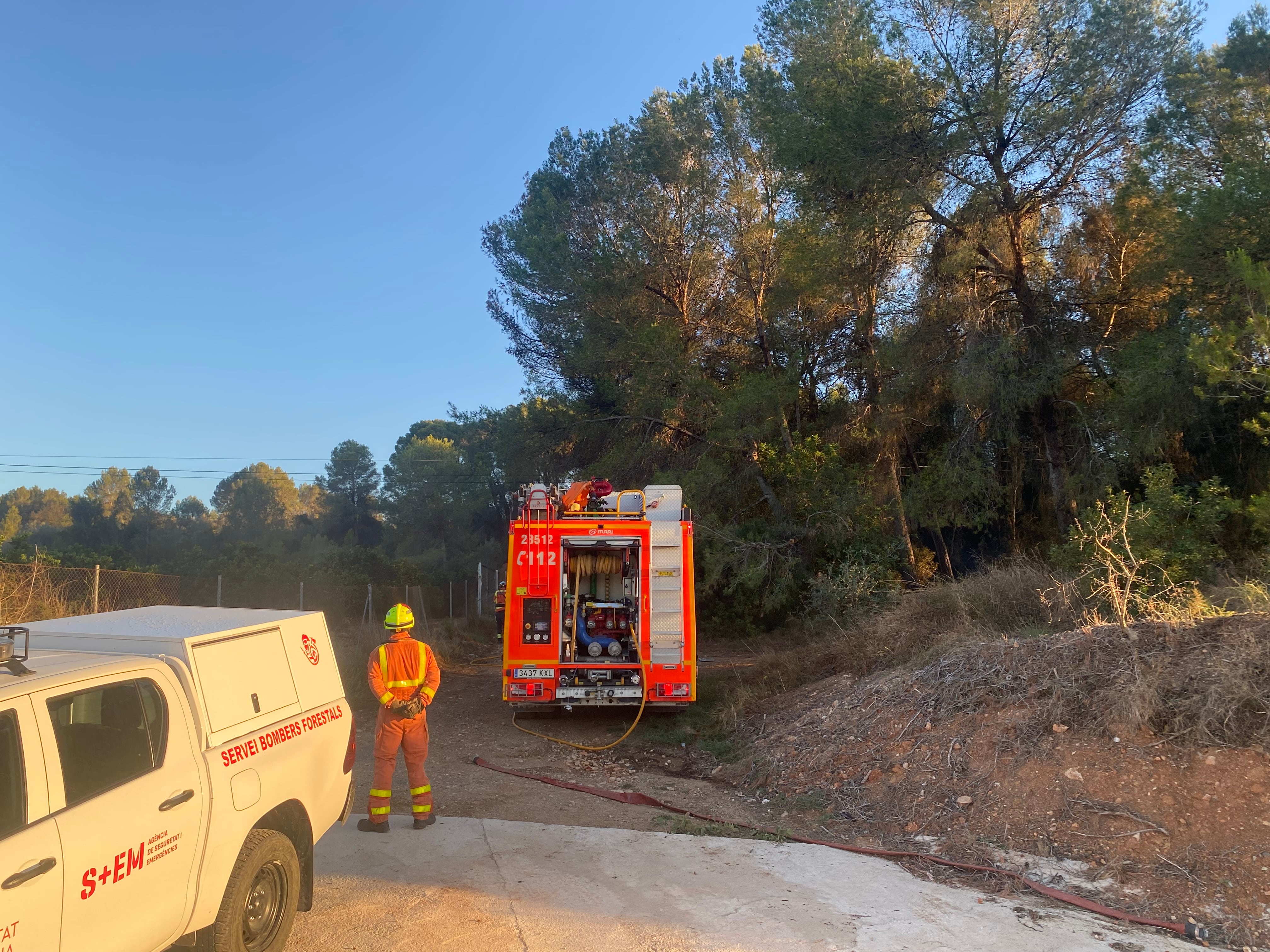 Los medios movilizados trabajan en el incendio forestal de Barxeta