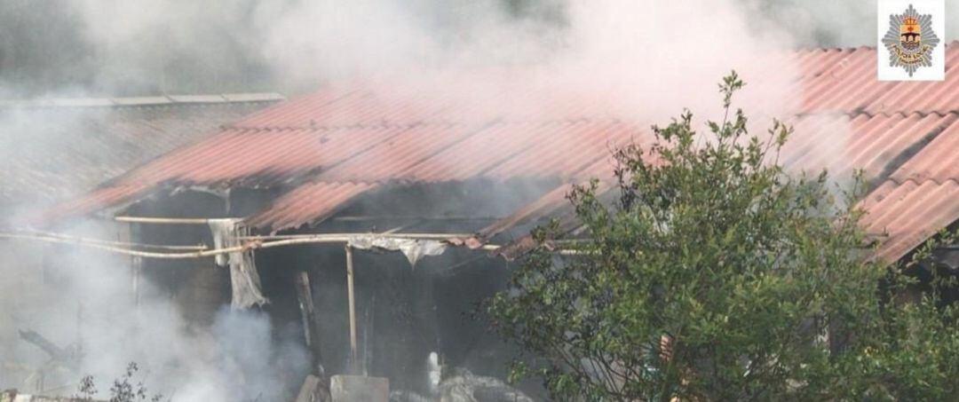 Incendio en la granja porcina