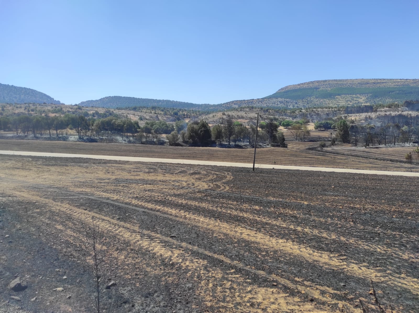 Paisaje desolador, totalmente calcinado, en la parte del Valle del Arlanza afectada por el incendio. / Foto: Radio Castilla