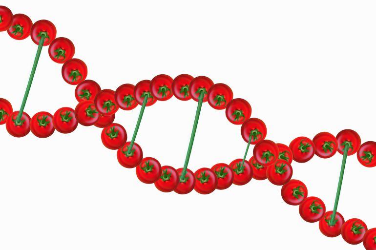 La genética determinará nuestra dieta del futuro.