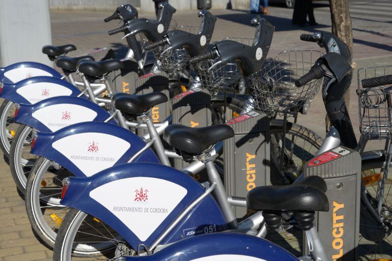 Bicicletas públicas del Ayuntamiento de Córdoba